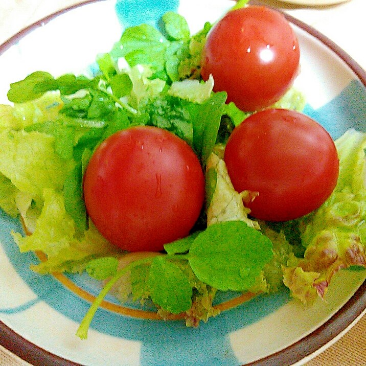 クレソン サニーレタス ミニトマトのサラダ レシピ 作り方 By あけぼのマジック 楽天レシピ